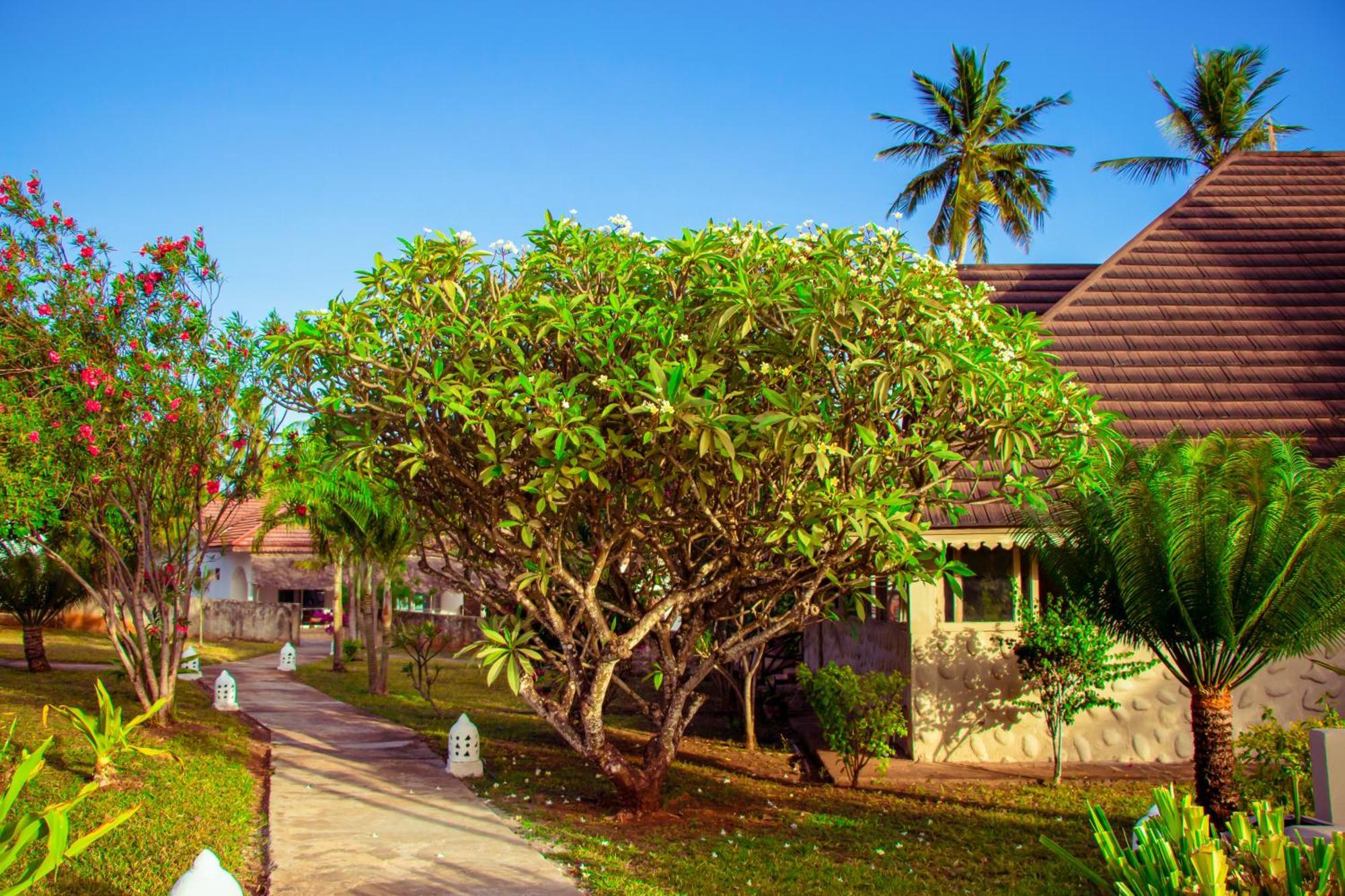 Mandarin Resort Zanzibar Kizimkazi Bagian luar foto