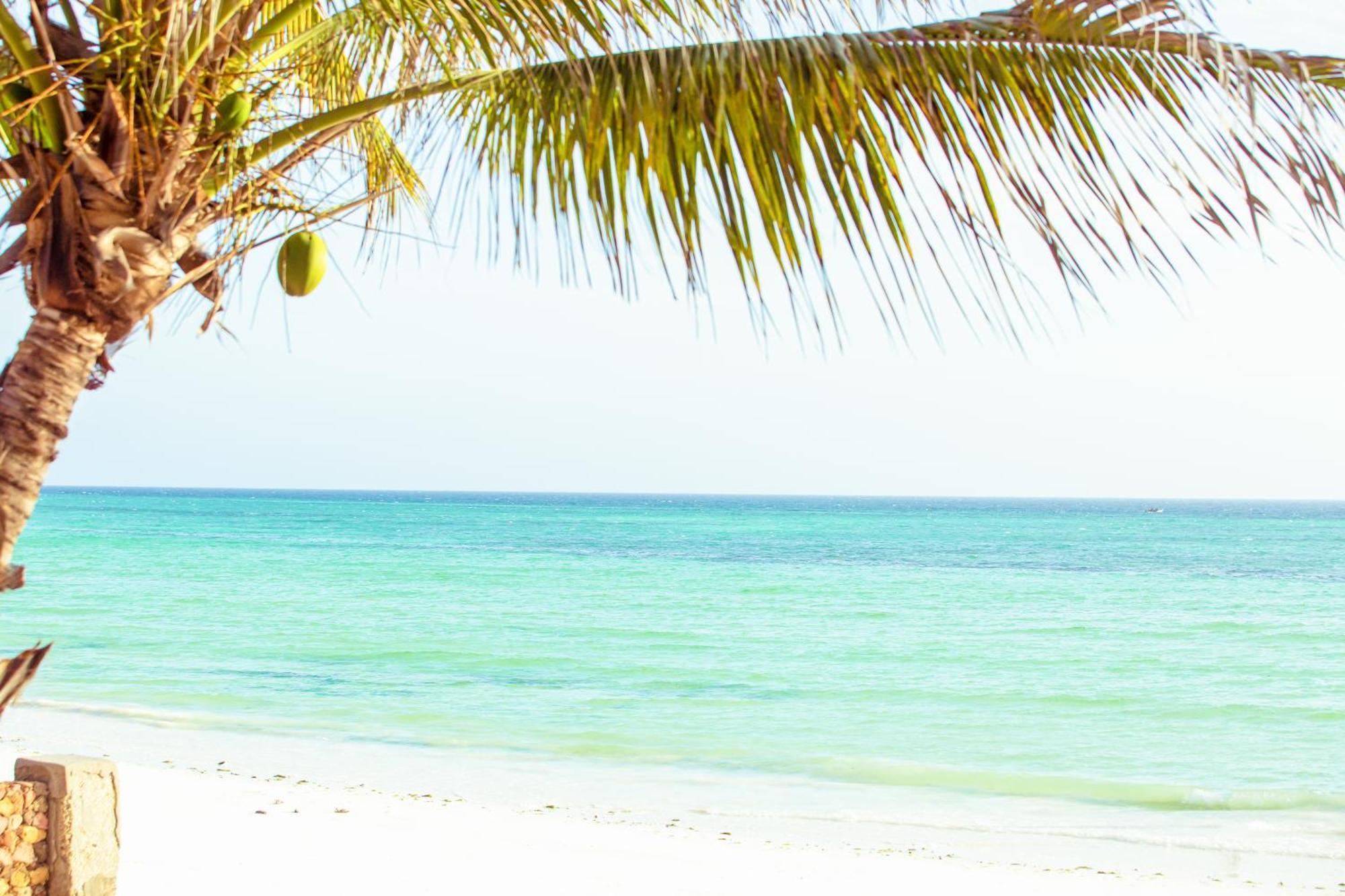 Mandarin Resort Zanzibar Kizimkazi Bagian luar foto